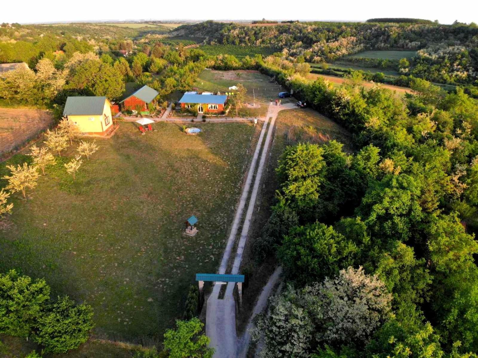 Villa Sunny Side Fruska Gora à Velika Remeta Extérieur photo